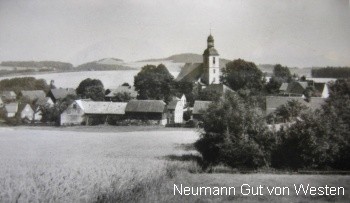 neumann.gut.25