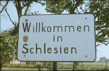 willkommen91