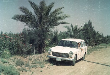 firmenauto-77