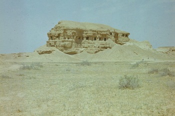 wadi2-76