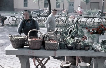 markt-hmv-obst-68