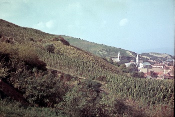 tokaj1